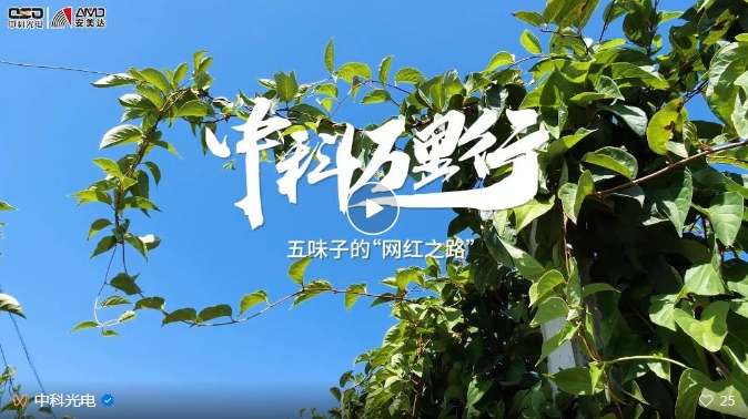 http://www.91au.cn/Upload/ueditor/1743473521157045.png