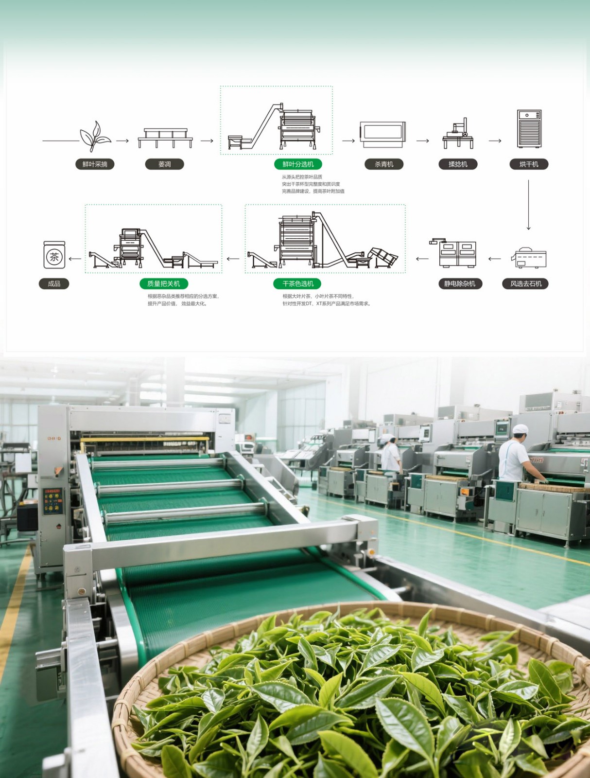 1747984606397907.jpg 微信圖片_20250520173902.jpg